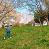 神奈川県立茅ヶ崎里山公園