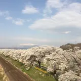 船岡城址公園