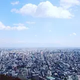 円山