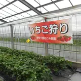 伊豆下田なごみ果園