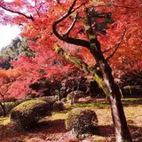 九年庵（旧伊丹家別邸）