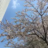 [閉店] NOZ BY T.Y.FARM