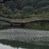 薬師池公園