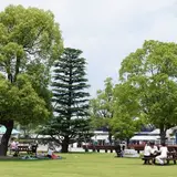 京都競馬場