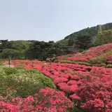 小室山公園