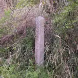 水口岡山城
