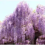 上下水道局 鳥羽水環境保全センター