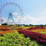 海の中道海浜公園