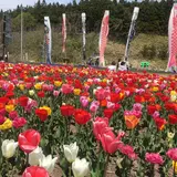 サラキ岬