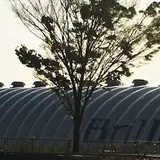 新豊洲Brilliaランニングスタジアム