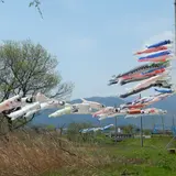 松ノ木内湖
