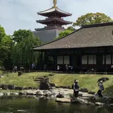 伝法院
