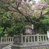 八雲神社