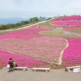 天空の花回廊　芝桜の丘