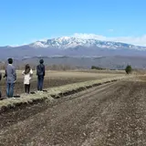ベルエールの森
