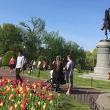 Boston Public Garden