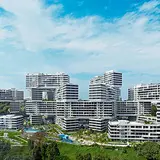 The Interlace