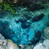 男池湧水群
