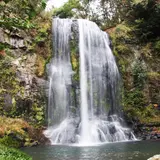 ゆうすい自然の森(旧 遊水峡キャンプ場)