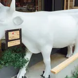 & CHEESE STAND
