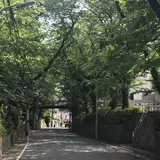 桜坂