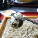 信洲庵 小池店