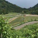 杉池の広葉樹林【紅葉の名所】