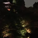 椿山荘 庭園