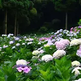 千光寺