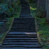 羽黒山のスギ並木