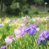 岡崎市東公園動物園