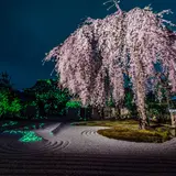 高台寺
