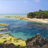 備瀬崎