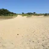 国営木曽三川公園ワイルドネイチャープラザ