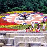 花時計「ハナック」