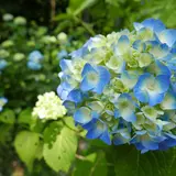 ２１世紀の森公園