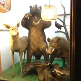 観光センター くるす