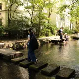 源兵衛川親水公園