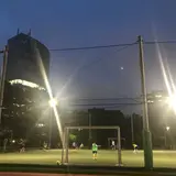 東京体育館フットサルコート