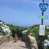 階段国道339号