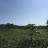 谷地湿原