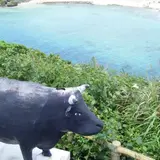 インギャービーチ