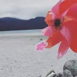 宇曽利山湖