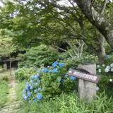 摩耶自然観察園