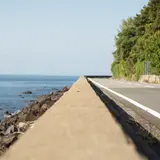 越前・河野しおかぜライン