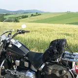 パッチワークの路