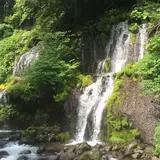 吐竜の滝