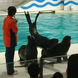 おたる水族館