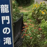 龍門の滝