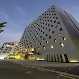 Golden Tulip